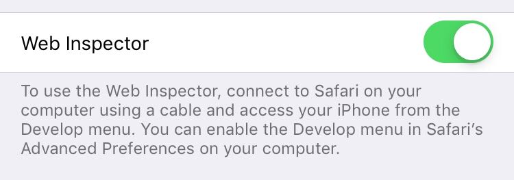 Picture of the web inspector option for the Safari web browser on iOS